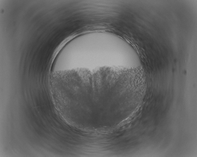 X0000082960147200702011121
