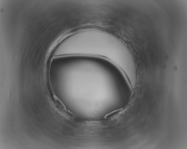 X0000082960150200702011121