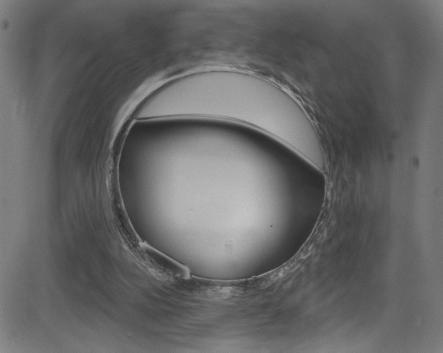X0000082960152200702011121