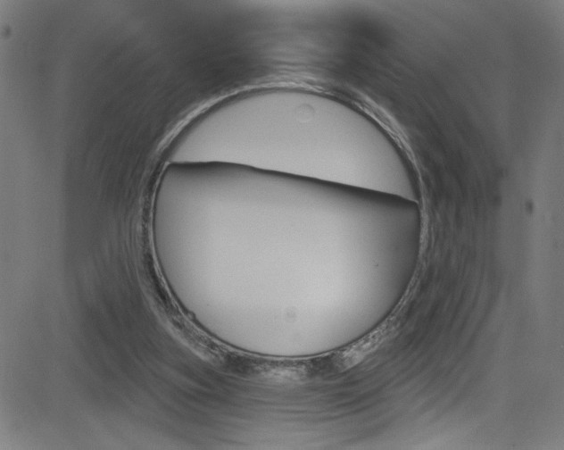 X0000082960155200702011121