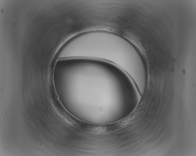 X0000082960156200702011121