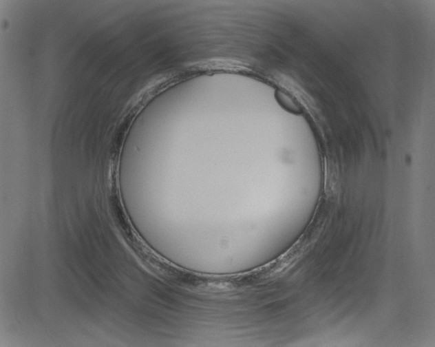 X0000082960157200702011121