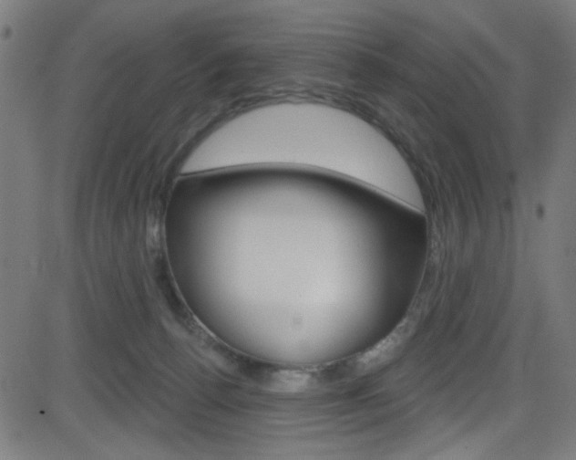 X0000082960176200702011122