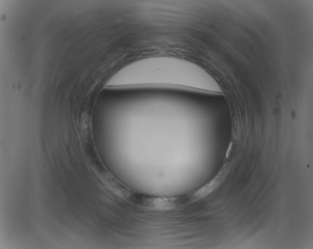 X0000082960184200702011122