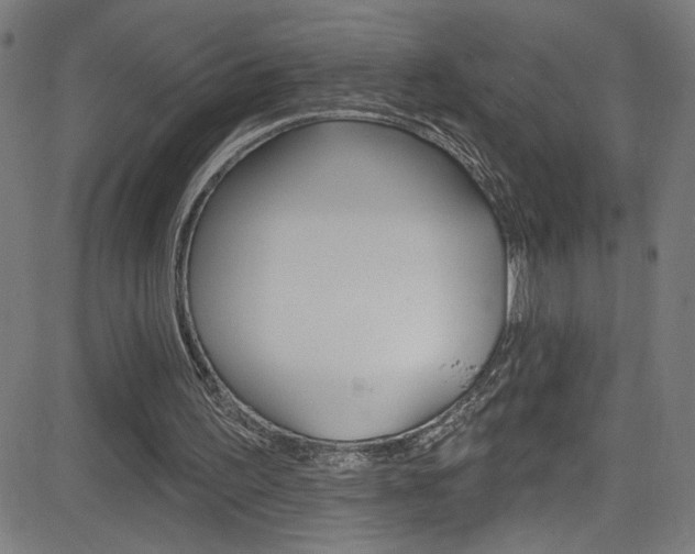 X0000082960195200702011121