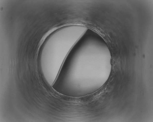 X0000082960200200702011121