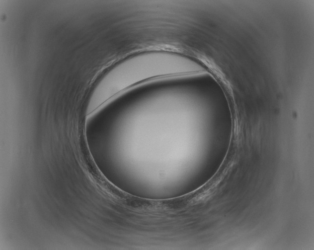 X0000082960201200702011121