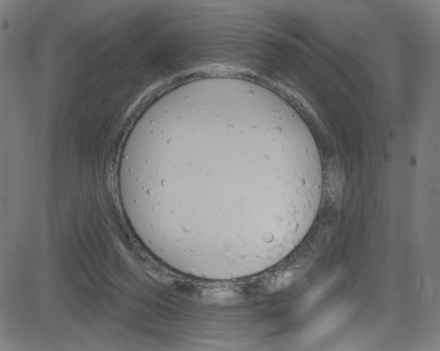X0000082960208200702011121
