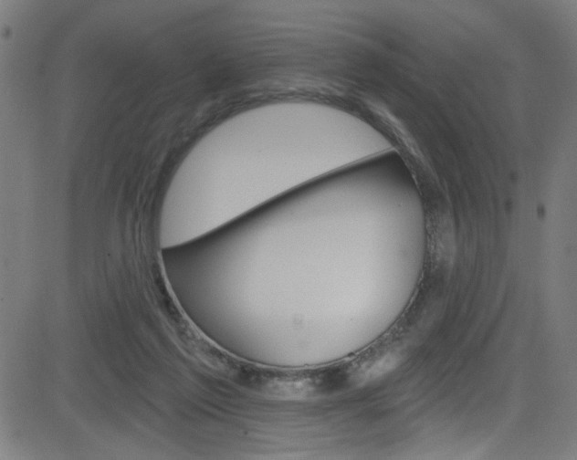 X0000082960213200702011121