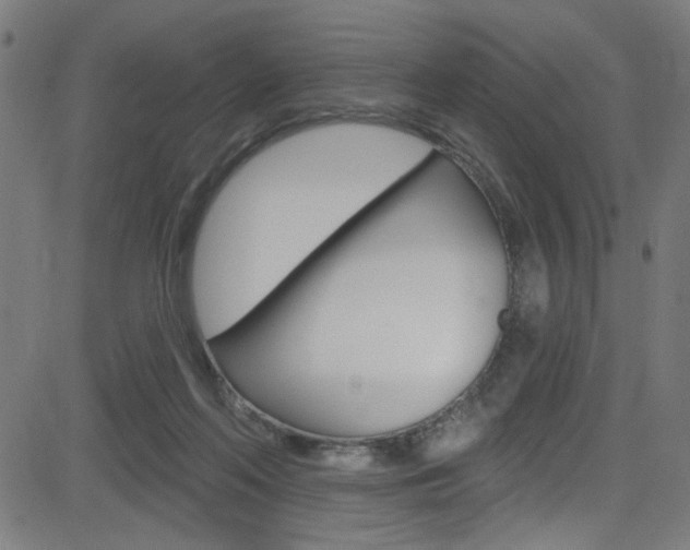 X0000082960214200702011121