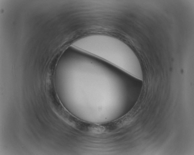 X0000082960215200702011121