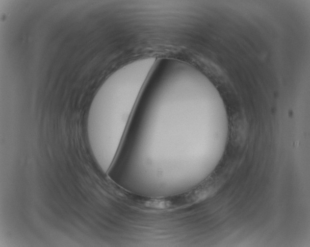 X0000082960225200702011121