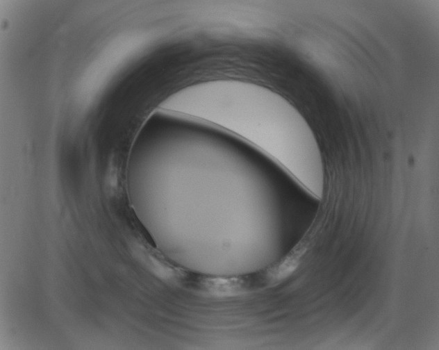 X0000082960239200702011120