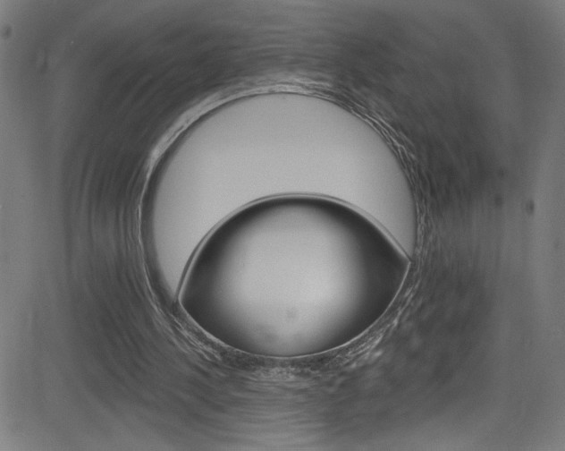 X0000082960244200702011120