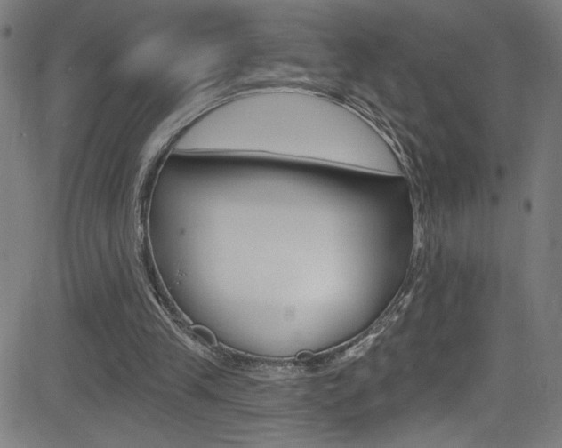 X0000082960245200702011120