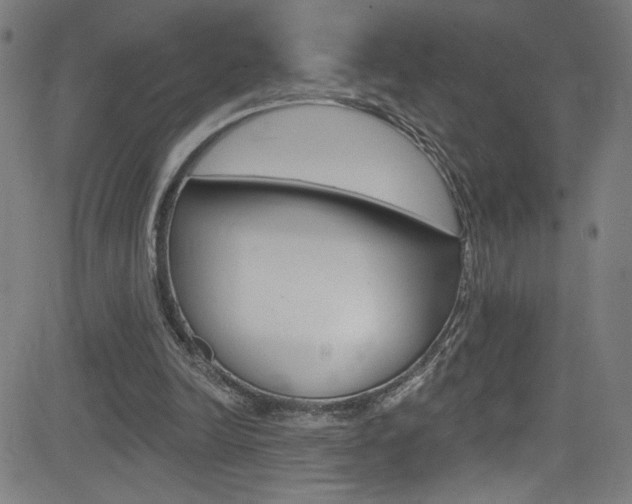 X0000082960246200702011120
