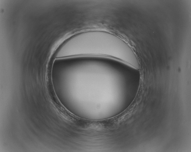 X0000082960248200702011120