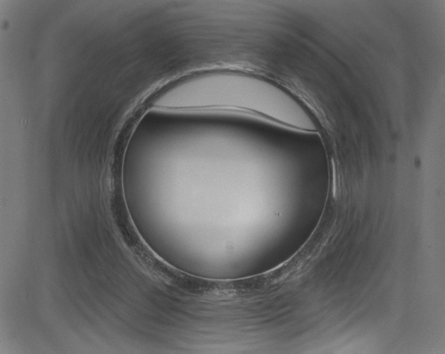 X0000082960252200702011120