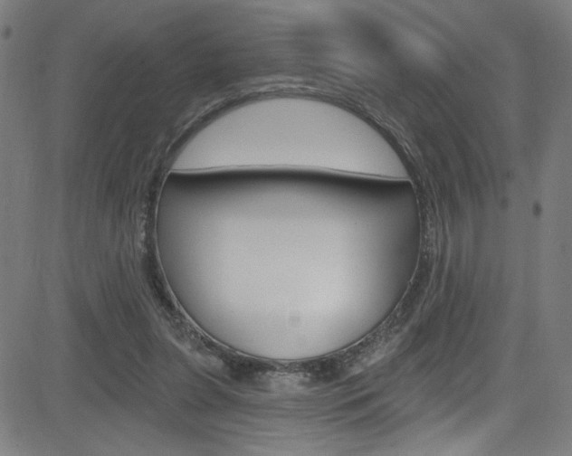 X0000082960255200702011120
