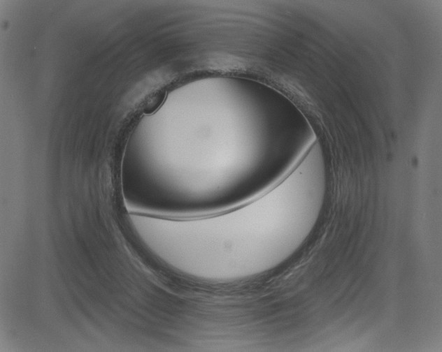 X0000082960256200702011120