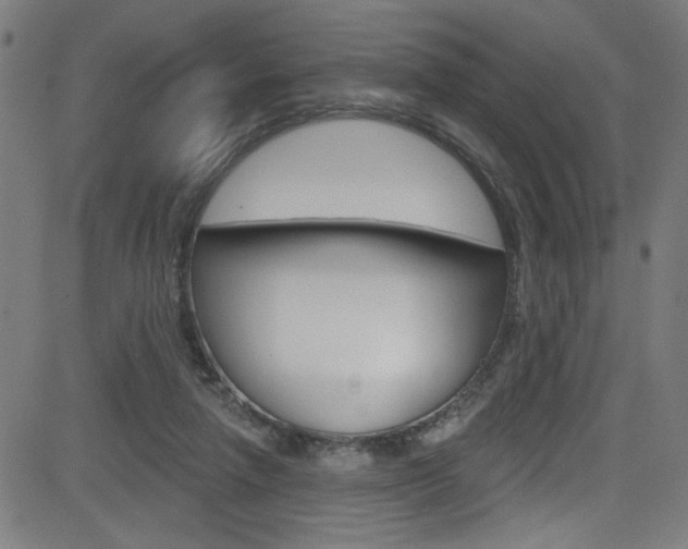 X0000082960258200702011120