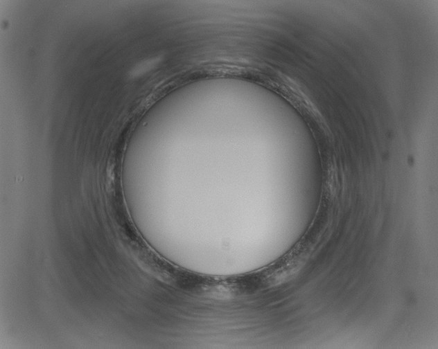 X0000082960259200702011120