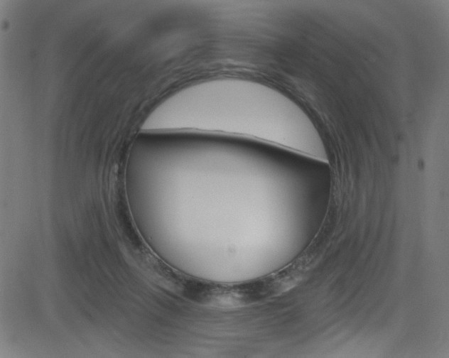 X0000082960263200702011120