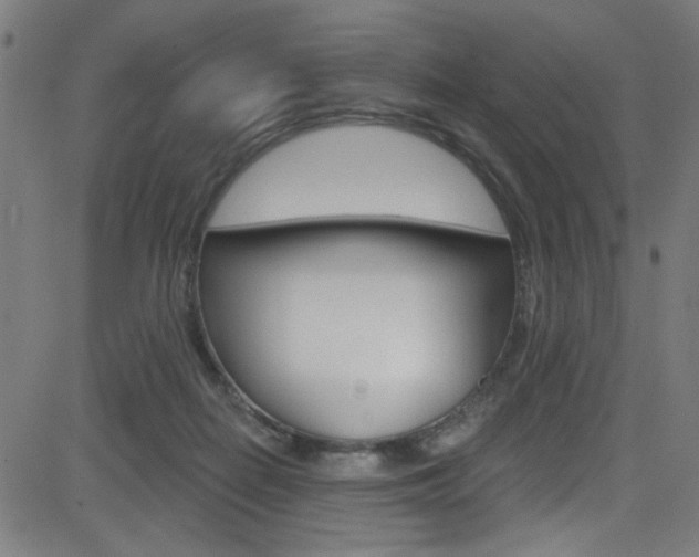 X0000082960266200702011120