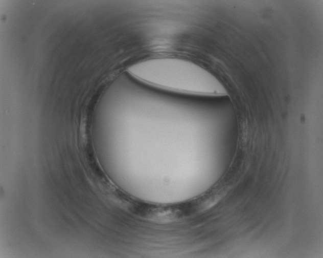 X0000082960267200702011120