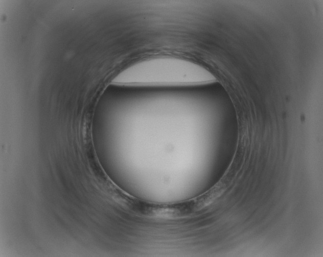 X0000082960268200702011120