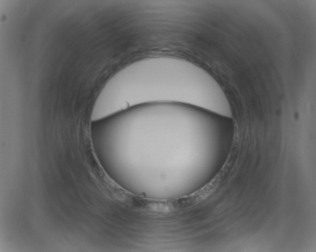 X0000082960272200702011120