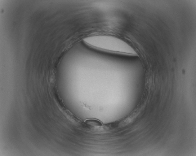 X0000082960277200702011120