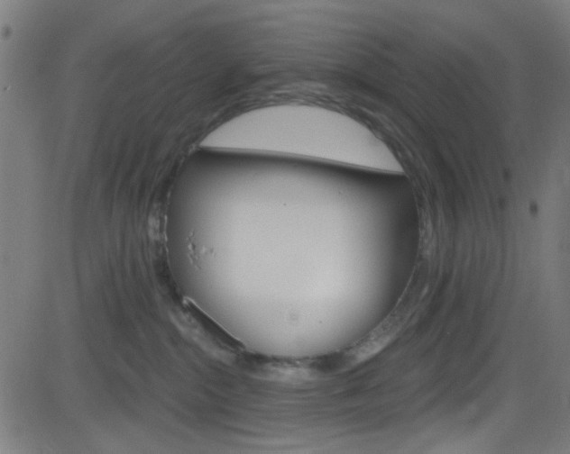 X0000082960284200702011120