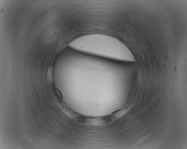 X0000082960286200702011120