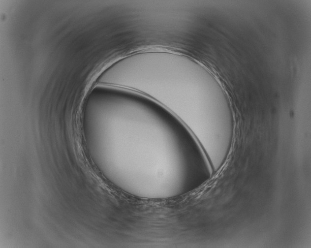 X0000082960289200702011120