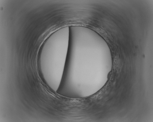 X0000082960290200702011120