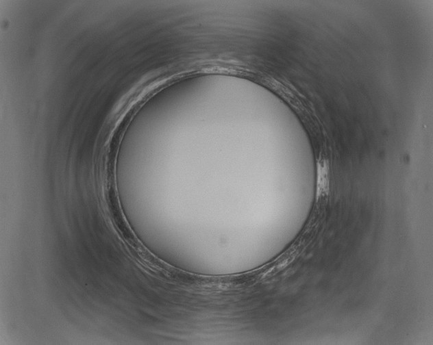 X0000082960291200702011120