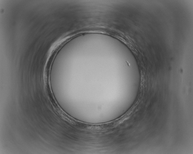 X0000082960294200702011119