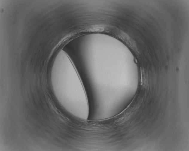 X0000082960300200702011119