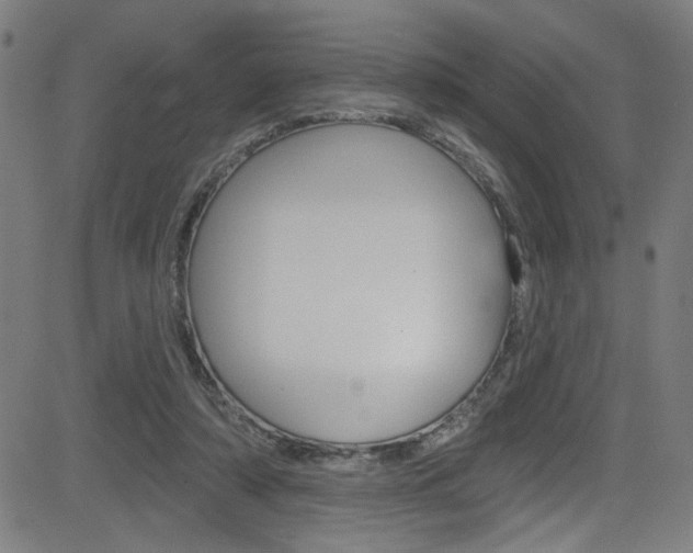 X0000082960306200702011119