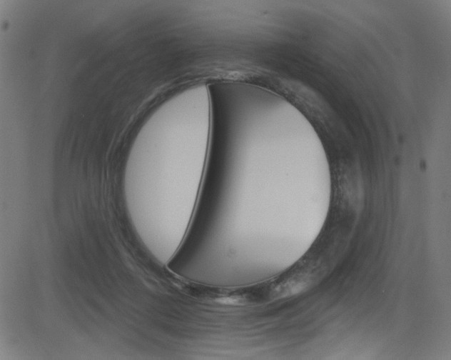 X0000082960312200702011119