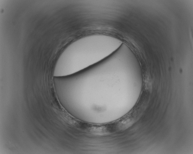 X0000082960314200702011119