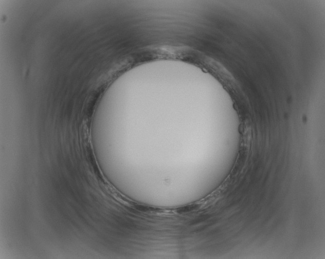 X0000082960318200702011119