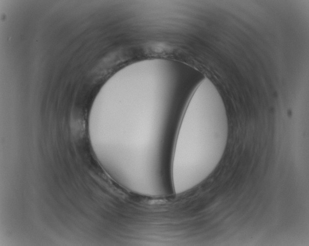 X0000082960324200702011119