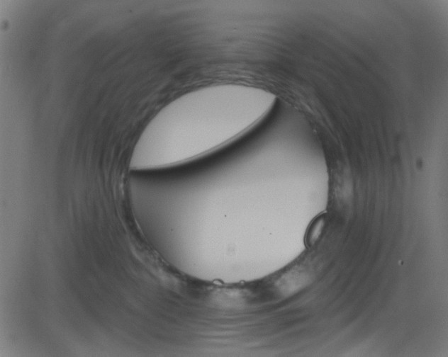 X0000082960332200702011119
