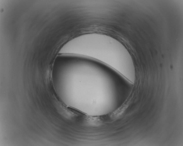 X0000082960333200702011119