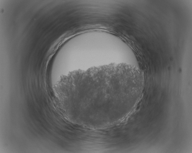 X0000082960339200702011118