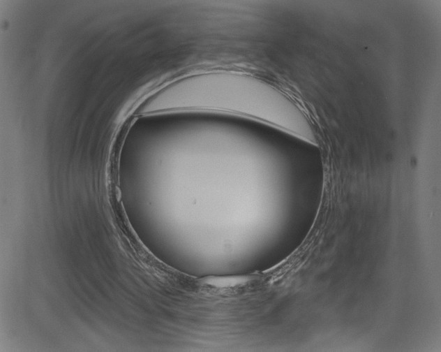 X0000082960340200702011118
