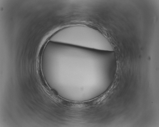 X0000082960342200702011118