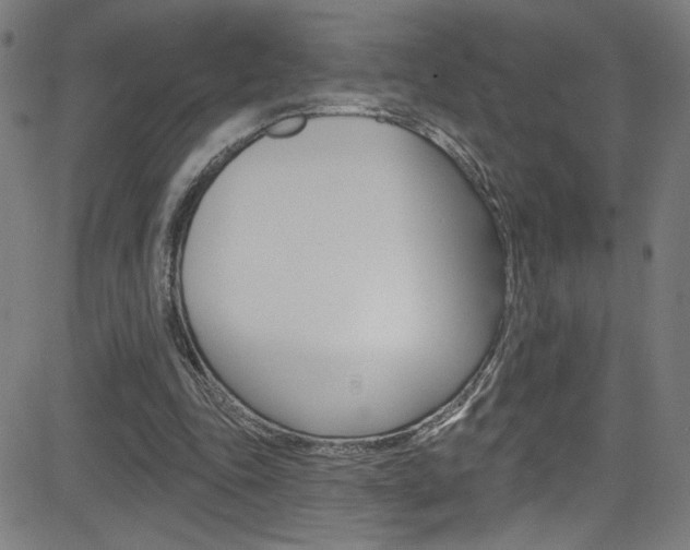 X0000082960343200702011118